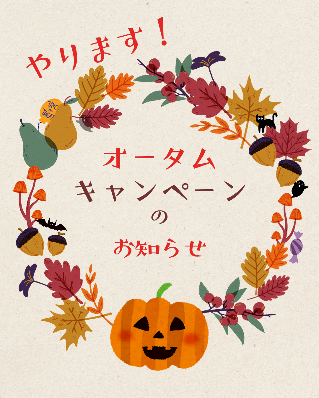 秋の網戸張替キャンペーン！🍂🎃🍂