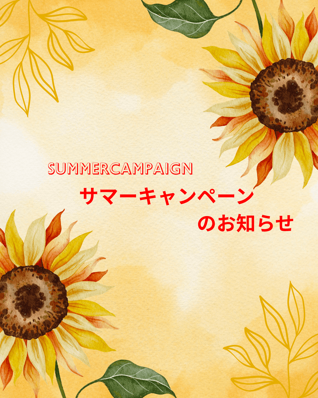 期間限定！サマーキャンペーン！